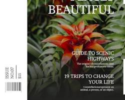 Изображение: cover of Nature magazine with a headline about AI in the home.