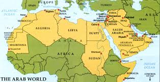 Image result for arab world map