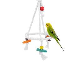 parrot swinging on a toyの画像