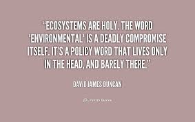 Ecosystems are holy. The word &quot;environmental&quot; is a deadly ... via Relatably.com