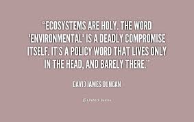 Ecosystems are holy. The word &quot;environmental&quot; is a deadly ... via Relatably.com