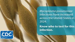 Mycoplasma Pneumoniae Infections Have Been Increasing