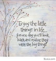 Funny Quotes About Things In Life. QuotesGram via Relatably.com