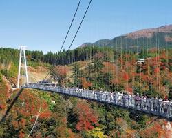 九重“夢”大吊橋の画像