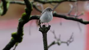 News source: CTV News