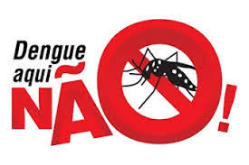 Resultado de imagem para dengue chikungunya e zika vírus