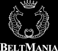 PITTI UOMO BELTMANIA m