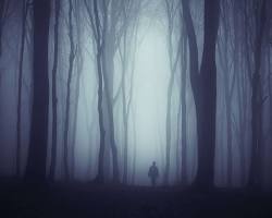 person walking through a dark forest