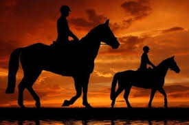 Image result for CAVALGADA