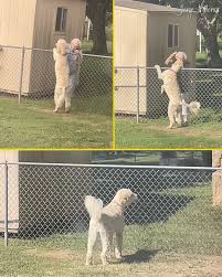 Buzón - Nos cayó una basurita en el ojo 😭😭 Una abuelita de ...