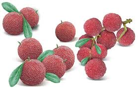 Image result for chinese fruits