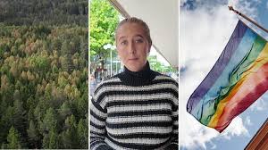 SVT Nyheter - News update