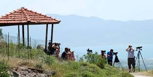 Image result for Bird watchers