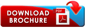 Image result for brochure button