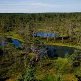 Lahemaa National Park