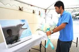 News source: Yahoo!ニュース