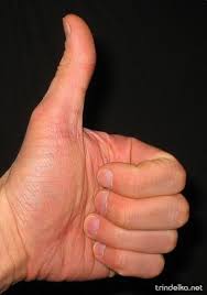 Силовики ночью уничтожили автобус с террористами на севере Донетчины - Цензор.НЕТ 4253