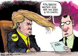 Image result for Donald Trump CARTOON