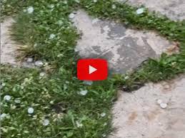 iLMeteo.it - News update