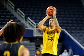 Yaxel Lendeborg's Path to Michigan: Overcoming Obstacles and Embracing High Expectations