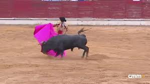 Novillada mixta desde Sigüenza (15/08/2026)