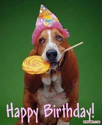 Funny dog birthday | Greetings-b&#39;day, anniversary., sympathy, etc ... via Relatably.com