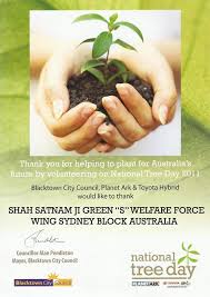 Image result for Tree plantation