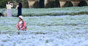 News source: 毎日新聞