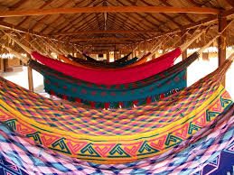Image result for wayuu