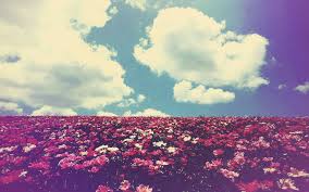 Résultat de recherche d'images pour "we heart it"