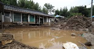 조선일보 - News update