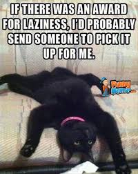 Image result for Animal Meme