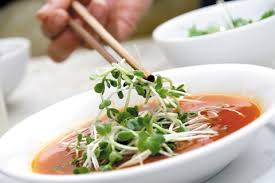 Image result for RAU MẦM CẢI XANH