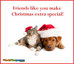 Image result for christmas friends