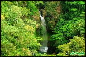 Resultado de imagen de Cascada Tavidá