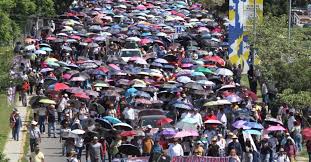 Cancelan el Fan Fest // Armando la “tormenta perfecta” // De nuevo otra noticia falsa - Ciudad Perdida