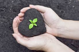 [Construcciones Yamaro]: Responsibility