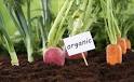 Organic Agriculture: Organic Agriculture Home