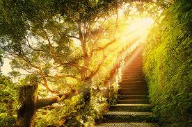 Resultado de imagem para imagens o caminho do fio e o caminho da luz