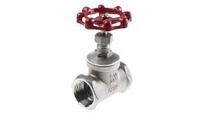 RS PRO Stainless Steel Globe Valve, Threaded 32 bar | RS