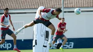 News source: Diario de Noticias de Navarra