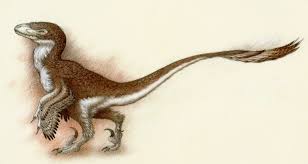 Image result for dinosaur drawings in coloured pencil