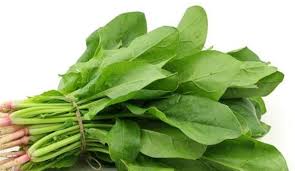 Image result for spinach