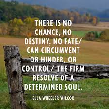 Quotes About Following Your Dreams Finding Your Passion via Relatably.com
