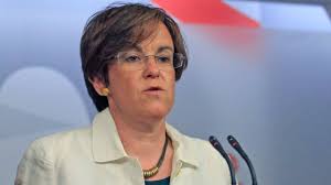 Resultado de imagen de psoe madrid portavoz