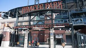 Multiple people arrested for fan brawl during Giants game