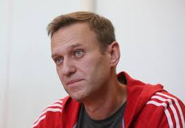Russian opposition leader Alexei Navalny was poisoned by deadly 'dart frog' toxin, Europeans say