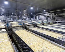 Lamb Weston french fry plant state of the art factory（AI 生成）