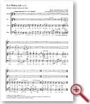 Ave Maria zart von Dranitsyn, Nikolai / Braun, Johann Georg im ...