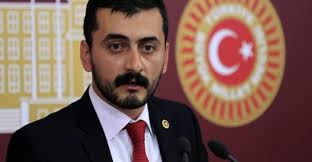 Image result for MP Eren Erdem PHOTO